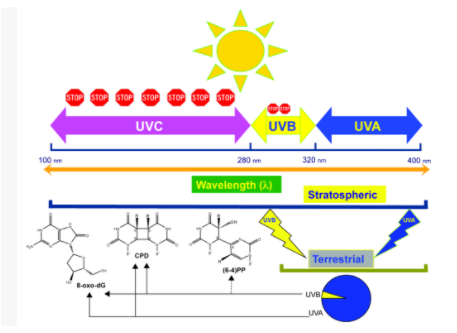 香港和宝典宝典资料大全 I UVA LED紫外光源 科技革新应用领域！